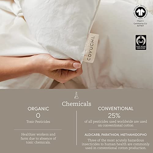 Coyuchi Unisex Air Weight Robe - 100% Organic Cotton Relaxed Bathrobe, XSmall/Small, Shadow