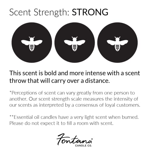 Fontana Candle Company - Palo Santo & Pink Grapefruit | Lightly Scented Candle 9oz | Made from Beeswax and Coconut Oil | Essential Oil | Wood Wick | Long Lasting | Non Toxic Clean Burn