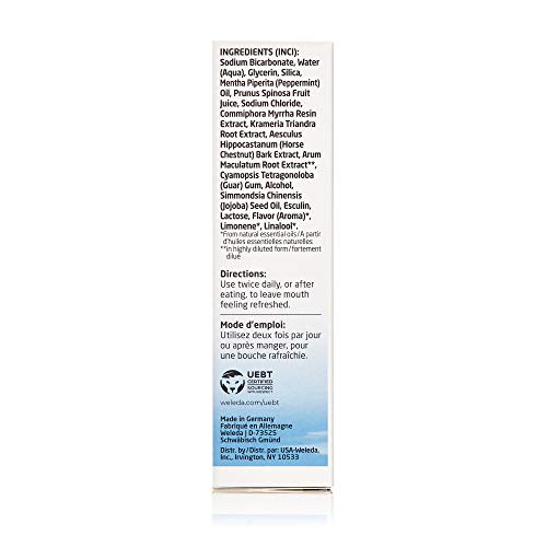 Weleda Natural Salt Toothpaste, 2.5 Ounce (Pack of 1)