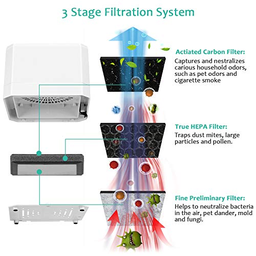 potulas Air Purifier with True HEPA Filter, 3-in-1 Filter Mini Desktop Air Cleaner Small Air Purifier for Personal Office, Bedroom, Home, Small Spaces