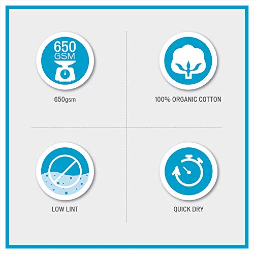 Madison Park Organic 100% Cotton Bathroom Towel Set, Hotel & Spa Quality Highly Absorbent, Quick Dry, Include for Shower, Handwash & Facial Washcloth, Multi-Sizes, Seafoam