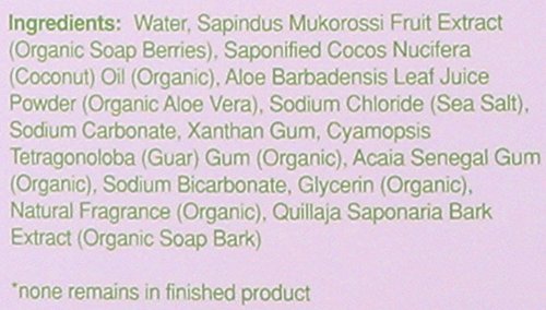 Rebel Green USDA Organic HE Liquid Fresh Laundry Detergent - Natural & Hypoallergenic Laundry Soap, Lavender and Grapefruit - 64 Loads