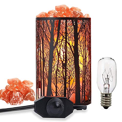 Salt Lamps, Natural Himalayan Salt Lamp, Forest Salt Lamp with Dimmer Switch, Salt Crystal Night Lights, Retro Metal Basket Decor Desk Lamp with Extra 25W Lamp Bulbs (Retro Red)