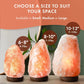 The Body Source Himalayan Salt Lamp 10-12” (11-15 lb) with Dimmer Switch - All Natural and Handcrafted with Wooden Base and an Extra Bulb